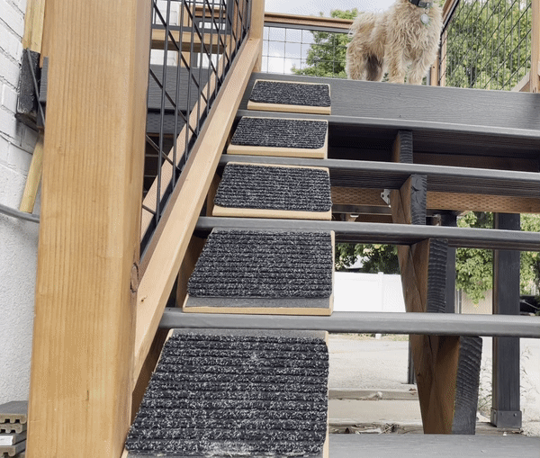 Stairwedge - Turn Staircase into a Ramp for Pets